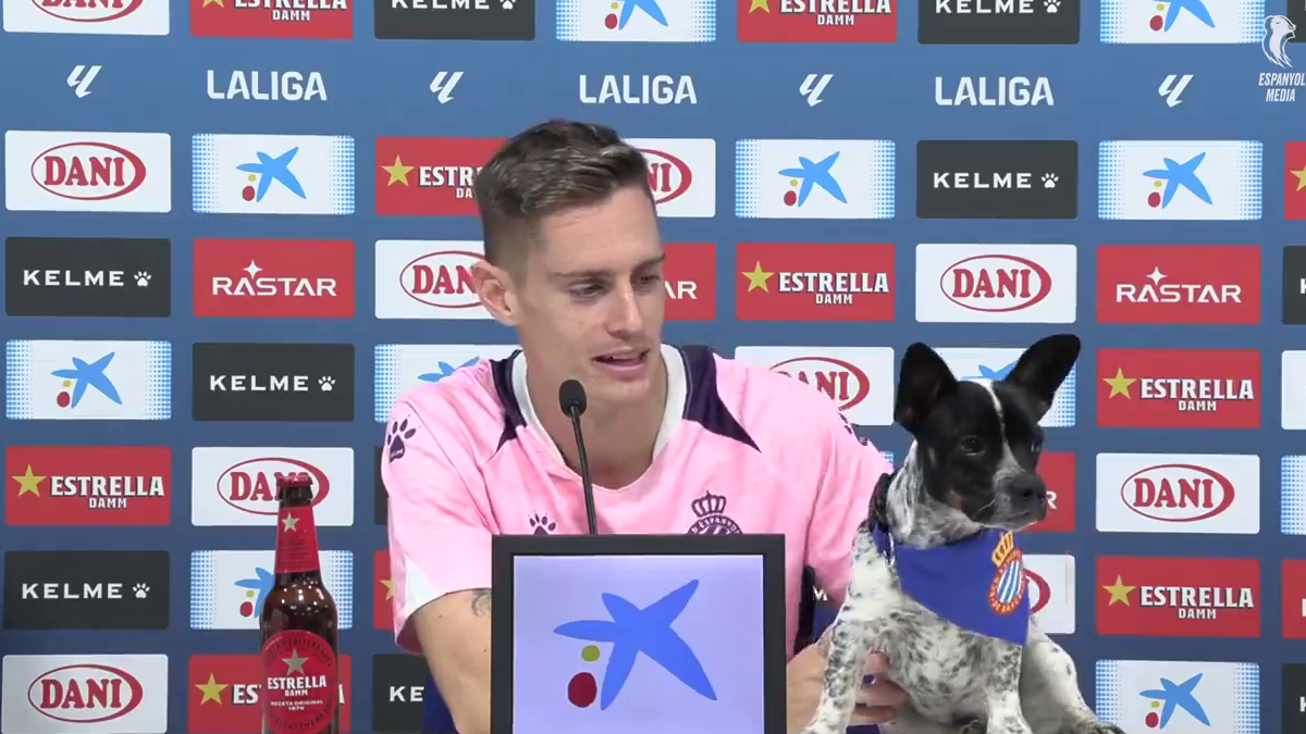 Abandoned Dogs Find Home After Football Team’s Awareness-Raising Action Before The Match