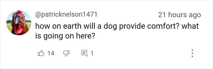 Josie, 13-Month-Old Therapy Dog, Is “Viciously” Attacked While Greeting Inmate Josie, 13-Month-Old Therapy Dog, Is “Viciously” Attacked While Greeting Inmate