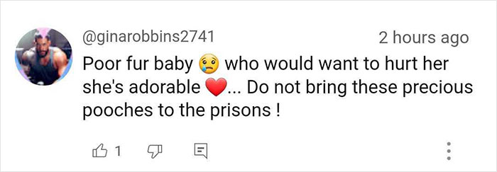 Josie, 13-Month-Old Therapy Dog, Is “Viciously” Attacked While Greeting Inmate Josie, 13-Month-Old Therapy Dog, Is “Viciously” Attacked While Greeting Inmate