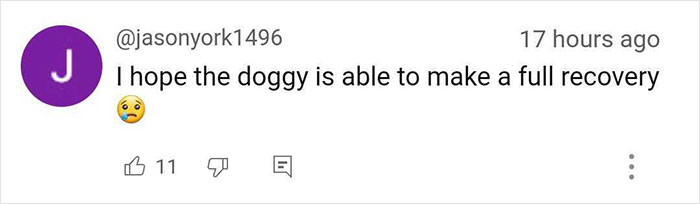 Josie, 13-Month-Old Therapy Dog, Is “Viciously” Attacked While Greeting Inmate Josie, 13-Month-Old Therapy Dog, Is “Viciously” Attacked While Greeting Inmate