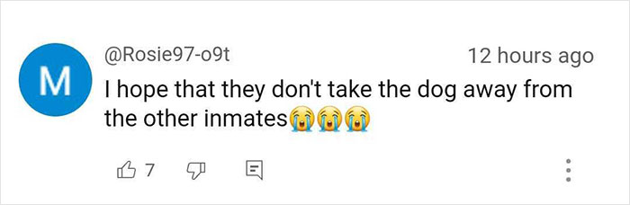 Josie, 13-Month-Old Therapy Dog, Is “Viciously” Attacked While Greeting Inmate Josie, 13-Month-Old Therapy Dog, Is “Viciously” Attacked While Greeting Inmate