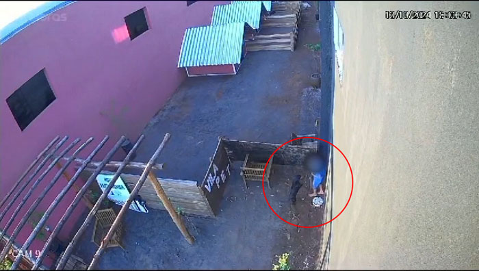 "I'm In Denial": 9-Year-Old Takes Lives Of 23 Animals In Brutal Incident "I'm In Denial": 9-Year-Old Takes Lives Of 23 Animals In Brutal Incident