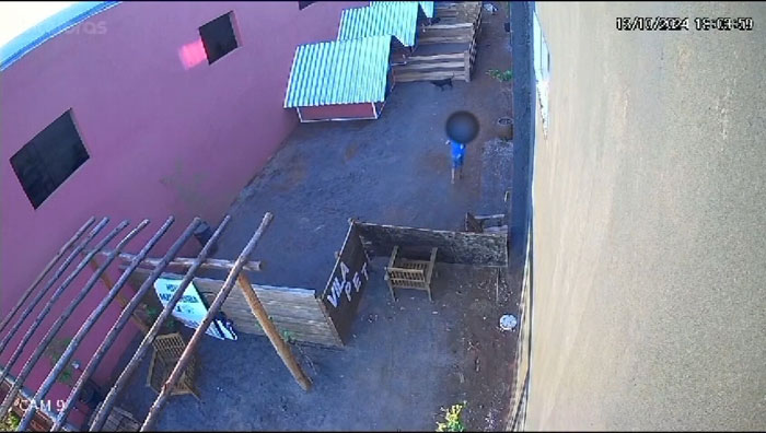 "I'm In Denial": 9-Year-Old Takes Lives Of 23 Animals In Brutal Incident "I'm In Denial": 9-Year-Old Takes Lives Of 23 Animals In Brutal Incident