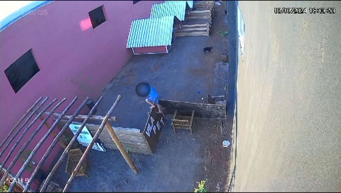 "I'm In Denial": 9-Year-Old Takes Lives Of 23 Animals In Brutal Incident "I'm In Denial": 9-Year-Old Takes Lives Of 23 Animals In Brutal Incident