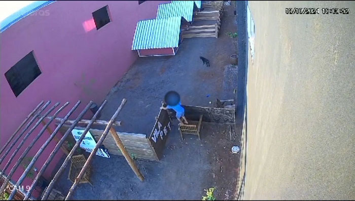 "I'm In Denial": 9-Year-Old Takes Lives Of 23 Animals In Brutal Incident "I'm In Denial": 9-Year-Old Takes Lives Of 23 Animals In Brutal Incident