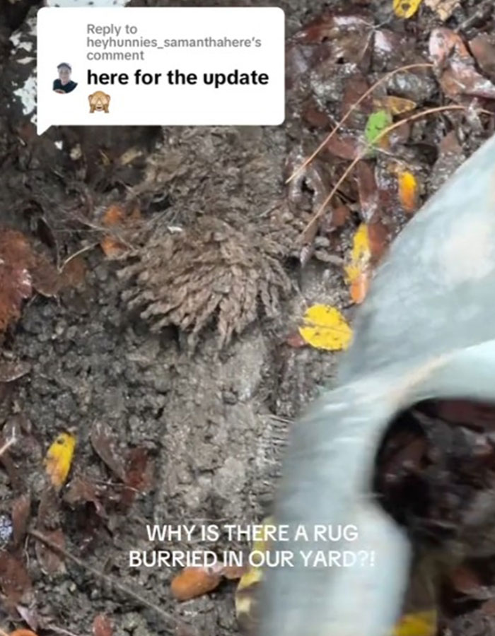 “There’s Obviously A Body”: Woman Discovers Rug In Her Yard, Suspects It May Have Human Remains “There’s Obviously A Body”: Woman Discovers Rug In Her Yard, Suspects It May Have Human Remains