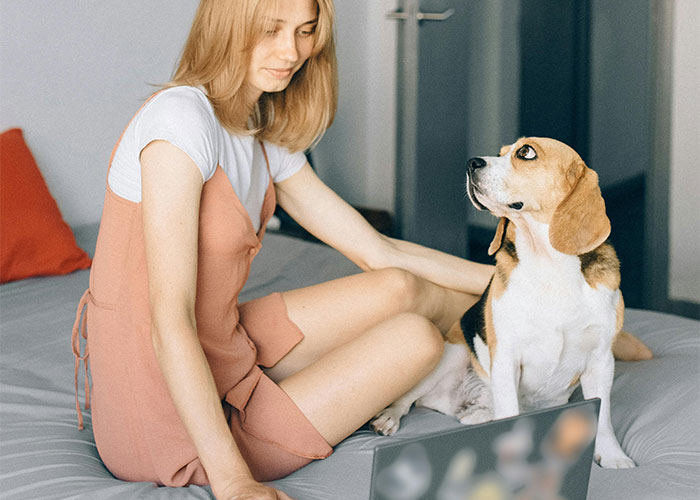 “My Dog Was Simply Sitting”: Worker Maliciously Complies With No-Dogs Home Office Policy “My Dog Was Simply Sitting”: Worker Maliciously Complies With No-Dogs Home Office Policy