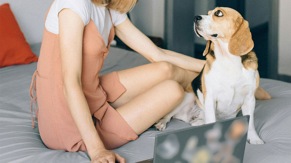 “My Dog Was Simply Sitting”: Worker Maliciously Complies With No-Dogs Home Office Policy