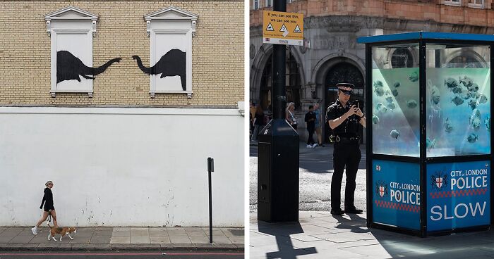 Here Are 9 Wild Animals That Were Roaming The Streets Of London, Courtesy Of The Notorious Banksy