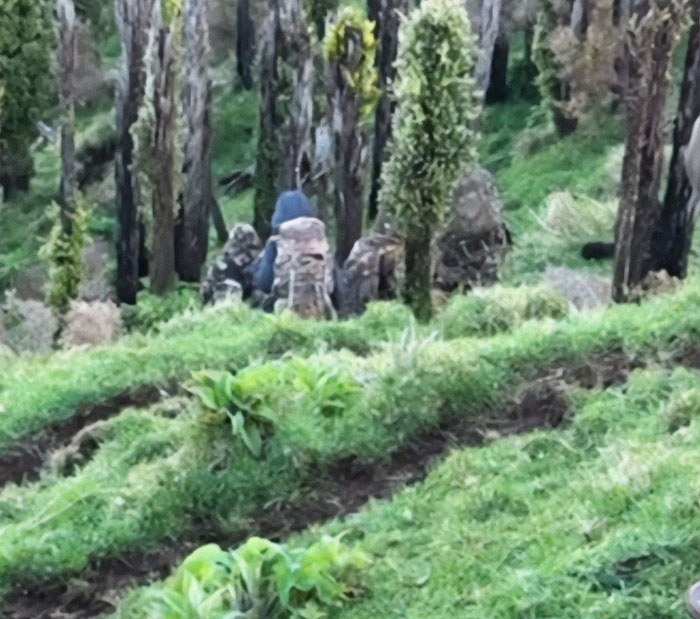 Fugitive Father And His Three Children Who Vanished 3 Years Ago Spotted Hiking In Chilling Video Fugitive Father And His Three Children Who Vanished 3 Years Ago Spotted Hiking In Chilling Video