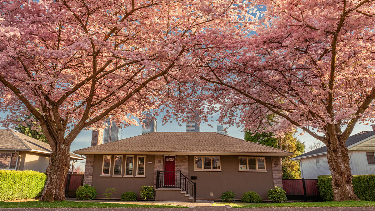 Audacious Woman Wants A Free Home, Is Sure A Good Samaritan Will Hand Over Their House To Her