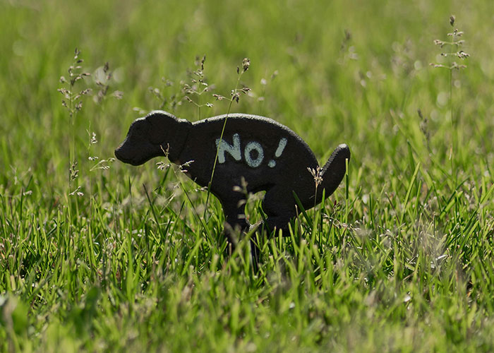 “Brutal And Absolutely Brilliant”: Man’s Petty Revenge On Jerk Neighbor Leaves Her Gagging Twice “Brutal And Absolutely Brilliant”: Man’s Petty Revenge On Jerk Neighbor Leaves Her Gagging Twice