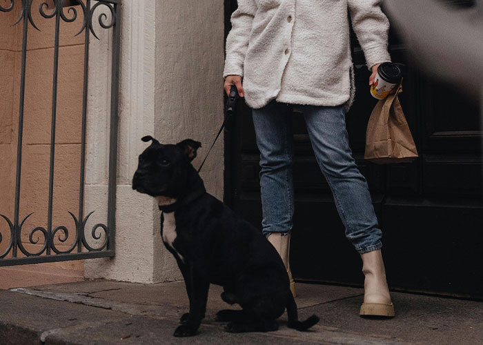 “Brutal And Absolutely Brilliant”: Man’s Petty Revenge On Jerk Neighbor Leaves Her Gagging Twice “Brutal And Absolutely Brilliant”: Man’s Petty Revenge On Jerk Neighbor Leaves Her Gagging Twice