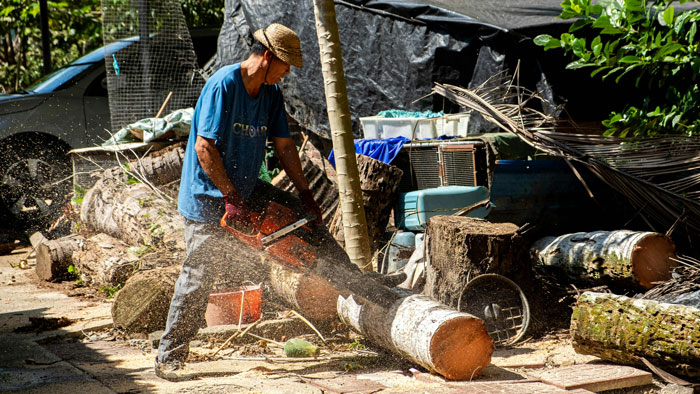 Man using a chainsaw to cut logs outside a house, wearing a straw hat and blue shirt; a scene of a homeowner at work. Man using a chainsaw to cut logs outside a house, wearing a straw hat and blue shirt; a scene of a homeowner at work.