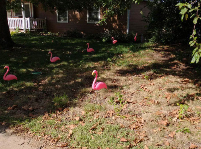 “Gave The City Official A Good Laugh”: Couple Finds Loophole In Rules To Get Back At Neighbors “Gave The City Official A Good Laugh”: Couple Finds Loophole In Rules To Get Back At Neighbors