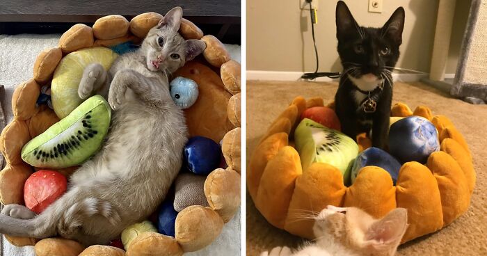 50 Times Stores Implemented Smart Ideas That Should Be Universal (New Pics)