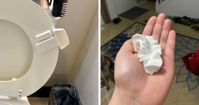 It Seems Like Every Day There Is Something New To See, And We Have 23 Of The Best Ones