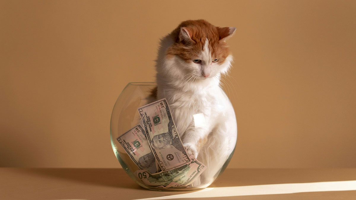 HOA Has The Gall To Ask For A $50 Registration Fee From Pet Owners, Outraged Folks Mock Them