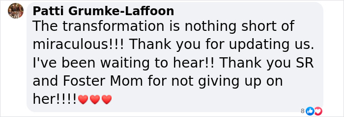 When She Was Found Dumped In An Empty Field, She Was Barely Living, But Love And Care Did Wonders When She Was Found Dumped In An Empty Field, She Was Barely Living, But Love And Care Did Wonders