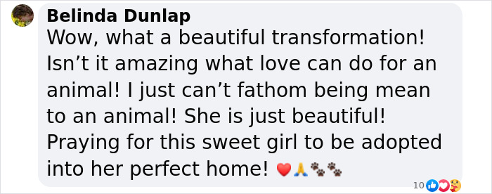 When She Was Found Dumped In An Empty Field, She Was Barely Living, But Love And Care Did Wonders When She Was Found Dumped In An Empty Field, She Was Barely Living, But Love And Care Did Wonders