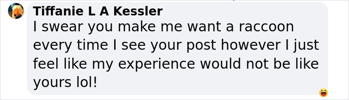 If You’re Having A Tough Day, Biscuits The Raccoon May Just Bring Your Smile Back If You’re Having A Tough Day, Biscuits The Raccoon May Just Bring Your Smile Back