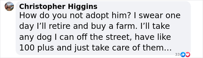 Meet Spinach - One-Eyed Dog Who Refused To Give Up And Finally Was Adopted By A Loving Family Meet Spinach - One-Eyed Dog Who Refused To Give Up And Finally Was Adopted By A Loving Family