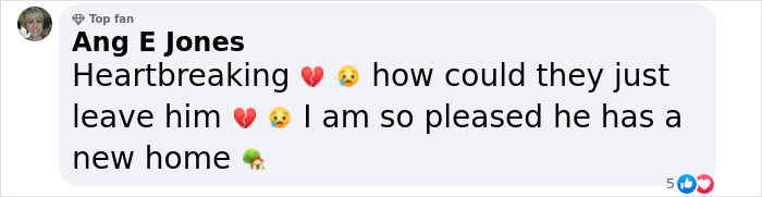 Meet Spinach - One-Eyed Dog Who Refused To Give Up And Finally Was Adopted By A Loving Family Meet Spinach - One-Eyed Dog Who Refused To Give Up And Finally Was Adopted By A Loving Family