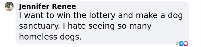Meet Spinach - One-Eyed Dog Who Refused To Give Up And Finally Was Adopted By A Loving Family Meet Spinach - One-Eyed Dog Who Refused To Give Up And Finally Was Adopted By A Loving Family