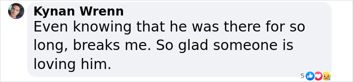 Meet Spinach - One-Eyed Dog Who Refused To Give Up And Finally Was Adopted By A Loving Family Meet Spinach - One-Eyed Dog Who Refused To Give Up And Finally Was Adopted By A Loving Family