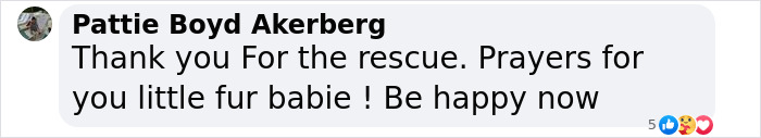 Little Squirrel Jumps Into Foam, Luckily Construction Worker Finds It Before It Turns To Concrete Little Squirrel Jumps Into Foam, Luckily Construction Worker Finds It Before It Turns To Concrete
