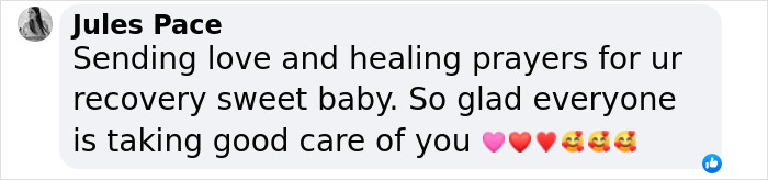 Little Squirrel Jumps Into Foam, Luckily Construction Worker Finds It Before It Turns To Concrete Little Squirrel Jumps Into Foam, Luckily Construction Worker Finds It Before It Turns To Concrete