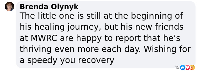 Little Squirrel Jumps Into Foam, Luckily Construction Worker Finds It Before It Turns To Concrete Little Squirrel Jumps Into Foam, Luckily Construction Worker Finds It Before It Turns To Concrete