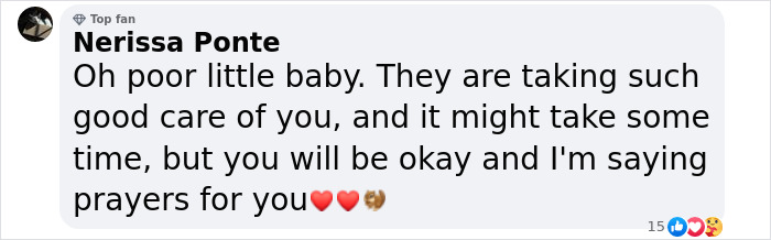 Little Squirrel Jumps Into Foam, Luckily Construction Worker Finds It Before It Turns To Concrete Little Squirrel Jumps Into Foam, Luckily Construction Worker Finds It Before It Turns To Concrete