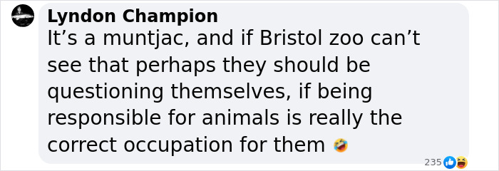 "Is It A Unicorn?": Zoo Officials Stumped By "Mysterious Winged And Horned Creature" Caught On Camera "Is It A Unicorn?": Zoo Officials Stumped By "Mysterious Winged And Horned Creature" Caught On Camera