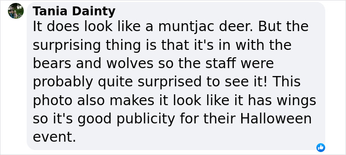 "Is It A Unicorn?": Zoo Officials Stumped By "Mysterious Winged And Horned Creature" Caught On Camera "Is It A Unicorn?": Zoo Officials Stumped By "Mysterious Winged And Horned Creature" Caught On Camera