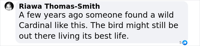 "Woke" And "Nonbinary" Half Male, Half Female Lobster Goes Viral Online "Woke" And "Nonbinary" Half Male, Half Female Lobster Goes Viral Online