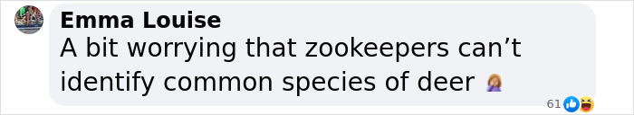 "Is It A Unicorn?": Zoo Officials Stumped By "Mysterious Winged And Horned Creature" Caught On Camera "Is It A Unicorn?": Zoo Officials Stumped By "Mysterious Winged And Horned Creature" Caught On Camera