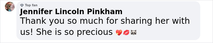 If You’re Having A Tough Day, Biscuits The Raccoon May Just Bring Your Smile Back If You’re Having A Tough Day, Biscuits The Raccoon May Just Bring Your Smile Back