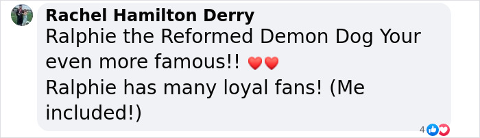 Rebellious Pup Who Failed 3 Adoption Attempts Finds His Perfect Match And Becomes Local Celebrity Rebellious Pup Who Failed 3 Adoption Attempts Finds His Perfect Match And Becomes Local Celebrity