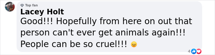 “Justice Prevails”: Man Who Tied Dog During Hurricane Milton Charged After Trying To Reclaim Pet “Justice Prevails”: Man Who Tied Dog During Hurricane Milton Charged After Trying To Reclaim Pet