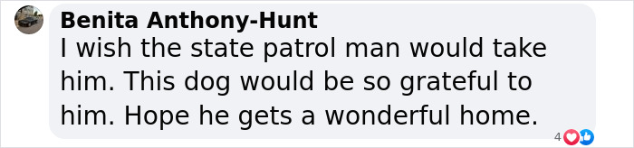 “Justice Prevails”: Man Who Tied Dog During Hurricane Milton Charged After Trying To Reclaim Pet “Justice Prevails”: Man Who Tied Dog During Hurricane Milton Charged After Trying To Reclaim Pet
