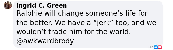 Rebellious Pup Who Failed 3 Adoption Attempts Finds His Perfect Match And Becomes Local Celebrity Rebellious Pup Who Failed 3 Adoption Attempts Finds His Perfect Match And Becomes Local Celebrity