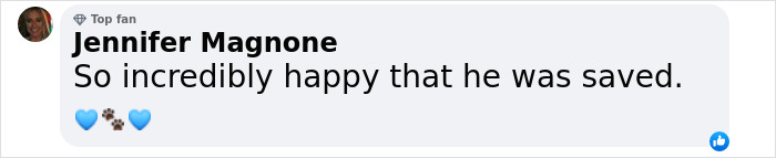 The Huron Police Department Helped A Puppy Who Couldn’t Get Out Of A Smelly Situation Alone The Huron Police Department Helped A Puppy Who Couldn’t Get Out Of A Smelly Situation Alone