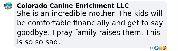 Comment from Colorado Canine Enrichment LLC supporting single mom's $1M funeral fundraiser following terminal diagnosis. Comment from Colorado Canine Enrichment LLC supporting single mom's $1M funeral fundraiser following terminal diagnosis.