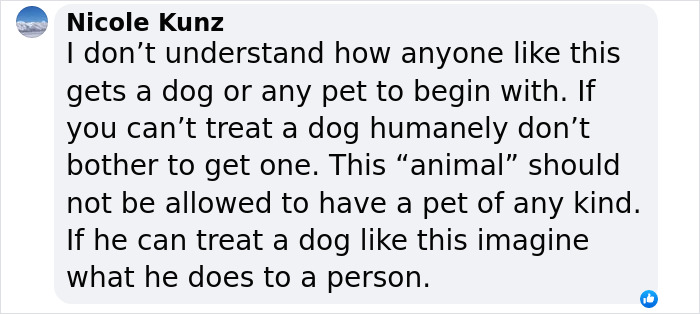“Justice Prevails”: Man Who Tied Dog During Hurricane Milton Charged After Trying To Reclaim Pet “Justice Prevails”: Man Who Tied Dog During Hurricane Milton Charged After Trying To Reclaim Pet