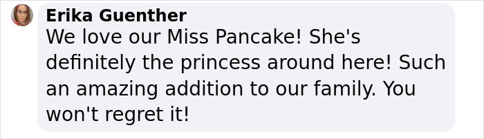 This Woman Has Become True Besties With A Sonoran Desert Tortoise She Recently Adopted This Woman Has Become True Besties With A Sonoran Desert Tortoise She Recently Adopted