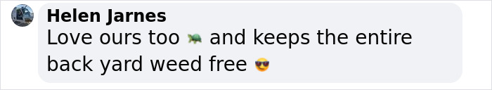 This Woman Has Become True Besties With A Sonoran Desert Tortoise She Recently Adopted This Woman Has Become True Besties With A Sonoran Desert Tortoise She Recently Adopted