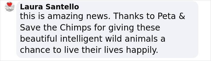 PETA Lawyer Exclusively Opens Up Amid Before And After Photos Of Tonka From “Chimp Crazy” PETA Lawyer Exclusively Opens Up Amid Before And After Photos Of Tonka From “Chimp Crazy”