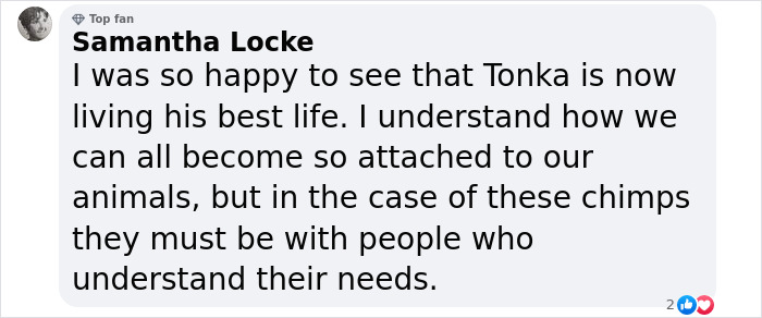 PETA Lawyer Exclusively Opens Up Amid Before And After Photos Of Tonka From “Chimp Crazy” PETA Lawyer Exclusively Opens Up Amid Before And After Photos Of Tonka From “Chimp Crazy”