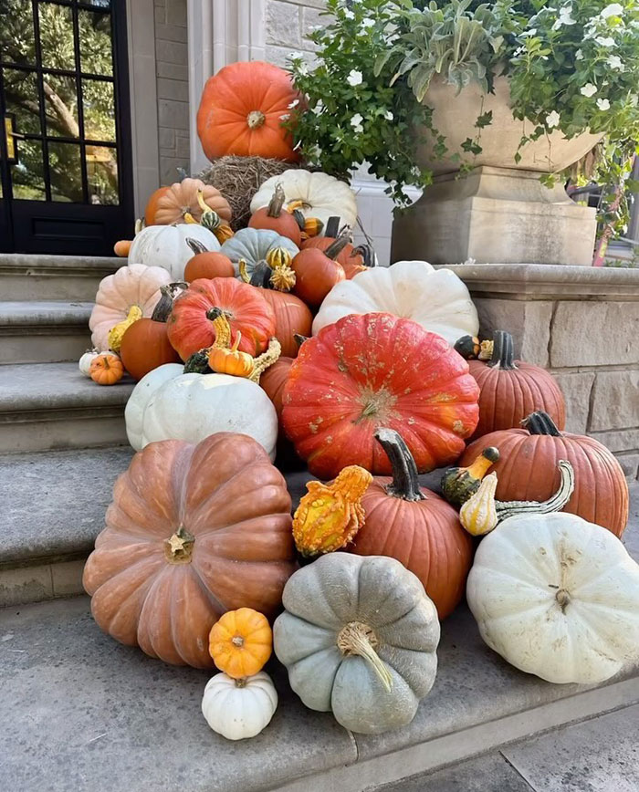 Mother Who Charges Over $1,000 For Halloween Pumpkin Displays Sparks Anger: "Ridiculous" Mother Who Charges Over $1,000 For Halloween Pumpkin Displays Sparks Anger: "Ridiculous"